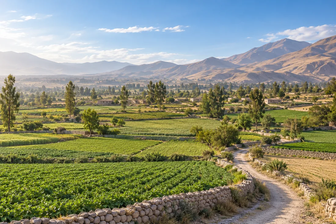 Campos serenos de Socabaya